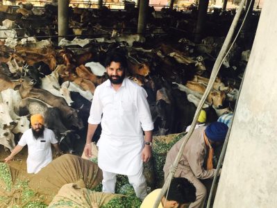 WhatsApp Image 2025-05-31 at 23.50.20 (1)